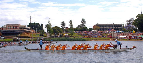 Jacaranda Dragon Boat Races - Lismore Accommodation 0