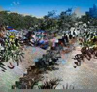 JetBlack Wild Wombat MTB Challenge - Lismore Accommodation