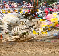 Jindabyne's Man From Snowy River Rodeo - Lismore Accommodation