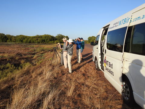 Kakadu Bird Week Tours & Cruises - Lismore Accommodation 1