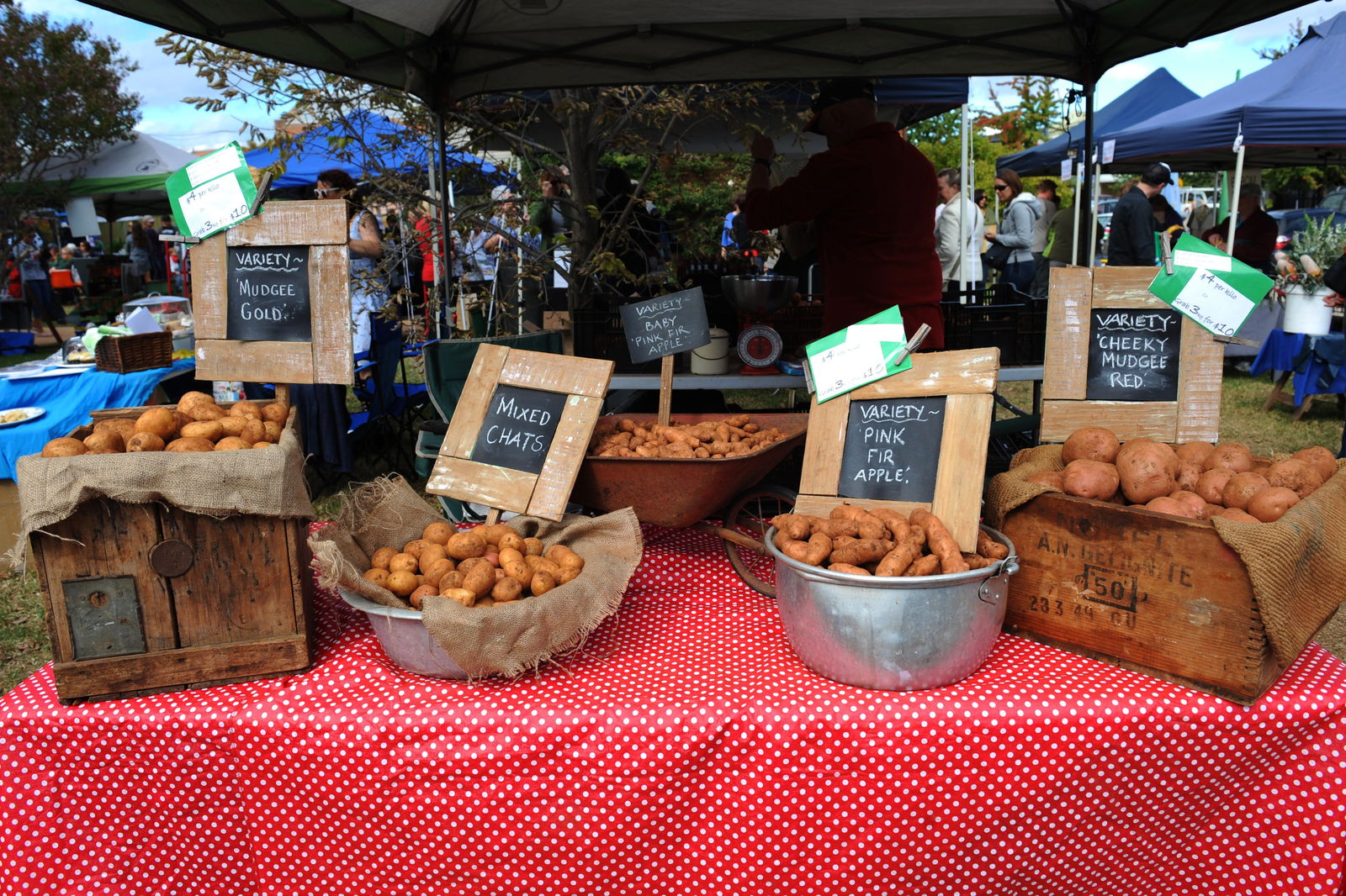 Mudgee NSW Lismore Accommodation