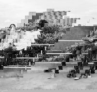 Luke Howard Trio - Lismore Accommodation