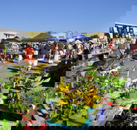 Maclean Community Monthly Markets - Lismore Accommodation