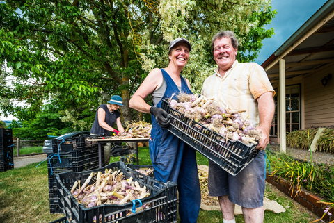 Meeniyan Garlic Festival - Lismore Accommodation 2