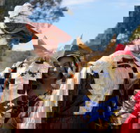 Newbridge Winter Solstice Festival - Lismore Accommodation