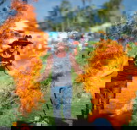 Outback Festival - Lismore Accommodation