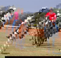 Pride of the West Races 2020 - Lismore Accommodation