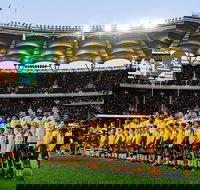 Rugby Championship Qantas Wallabies v Springboks - Lismore Accommodation