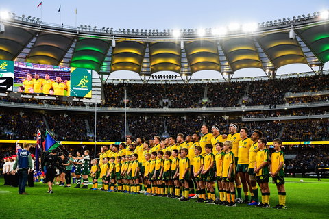 Rugby Championship: Qantas Wallabies V Springboks - Lismore Accommodation 0