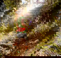 Run Dungog - Lismore Accommodation