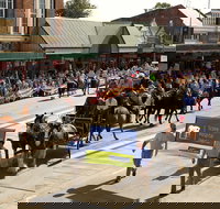 Scone Horse Festival - Lismore Accommodation