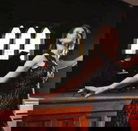 SwanSongs - Ghosts Fools and Seers - Lismore Accommodation