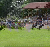 Tumut Derby Day - Lismore Accommodation