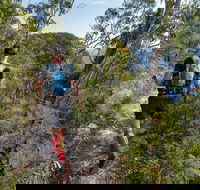 Wild Earth Coastal High 50 - Lismore Accommodation
