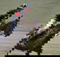 Wirragulla Annual Polo Tournament - Lismore Accommodation