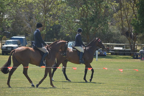 Yankalilla Show - Lismore Accommodation 2