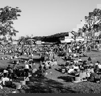 Yours and Owls Festival - Lismore Accommodation
