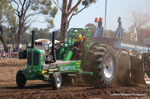 Barmedman Twilight Modified Tractor Pull - Lismore Accommodation 0