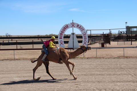 Bedourie Camel And Pig Races And Camp Oven Cook-off - Lismore Accommodation 0