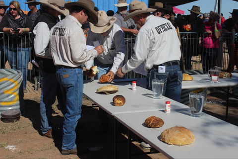 Bedourie Camel And Pig Races And Camp Oven Cook-off - Lismore Accommodation 2