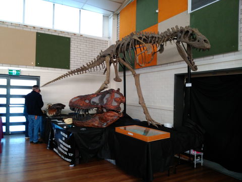 Carlingford Gem And Mineral Expo - Lismore Accommodation 1