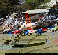 Carcoar Show - Lismore Accommodation