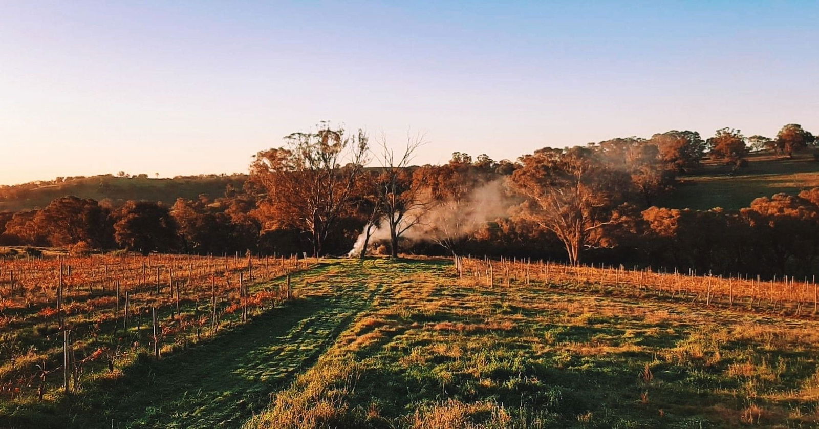 Lidster NSW Lismore Accommodation