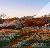 Cargo Road Wines Grande Fiamma - Lismore Accommodation