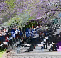 Celtic Festival of Queensland - Lismore Accommodation
