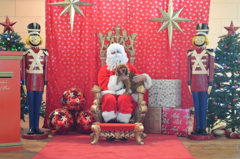 Community Christmas Party And Carols By Candlelight - Lismore Accommodation 2