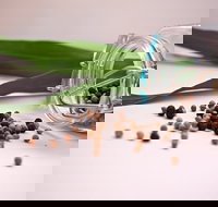 Cooking with Australian Indigenous Spices cooking class - Lismore Accommodation