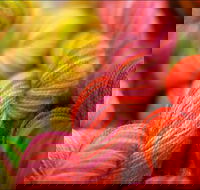 Creative Fibre - Lismore Accommodation