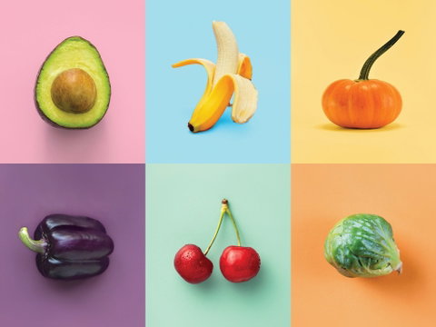 Food For Thought: Alternative Food Sources - Lismore Accommodation 0