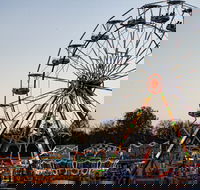 Grafton Show - Lismore Accommodation