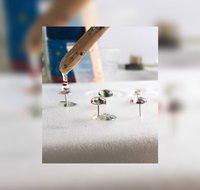 Grab a glass of wine and learn to make Resin Earrings - Lismore Accommodation