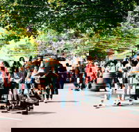 Hahndorf Christkindlmarkt - Lismore Accommodation