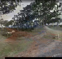Hartwood Campfires and Country Music - Lismore Accommodation