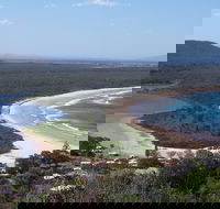 Head to Head Walk Run - Lismore Accommodation