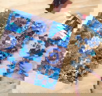 Intro to Mosaics Weekend with Leadlight By Ettore - Lismore Accommodation