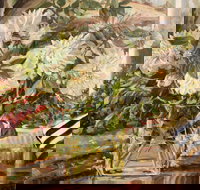 Introduction to Oils with Kim Grivas - Lismore Accommodation