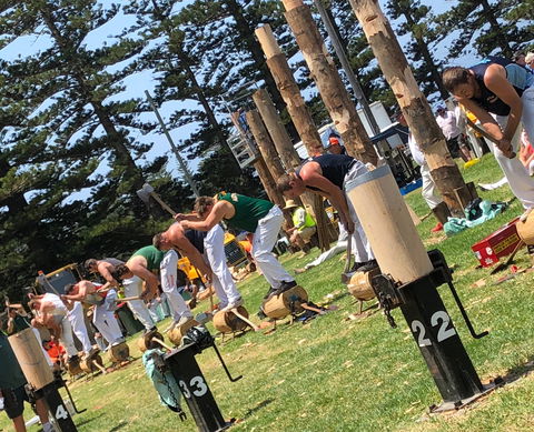 Kiama Show - Lismore Accommodation 1