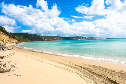 Longreach Leg - Beach To Reach 2020 - Lismore Accommodation 2