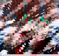 Mount Druitt Christmas Light Up Concert - Lismore Accommodation