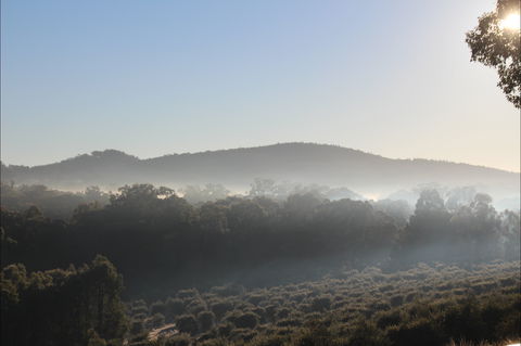 Mudgeeque - Lismore Accommodation 0