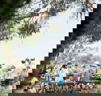 Music on the Murray - Lismore Accommodation
