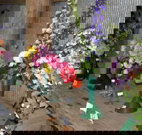 Neville Show - Lismore Accommodation