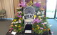 Orchids Out West - thumb 0