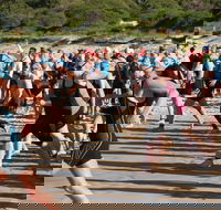 Port Stephens Triathlon Festival - Lismore Accommodation