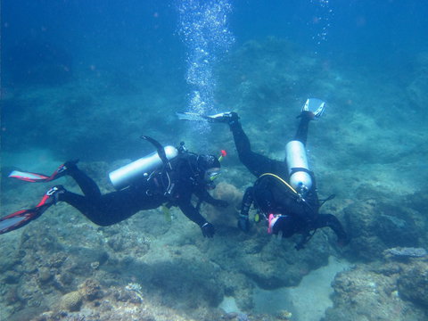 Recovery Of The Great Barrier Reef - Lismore Accommodation 1
