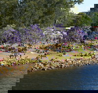 Shoalhaven River Festival - Lismore Accommodation